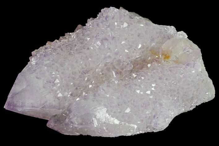 Cactus Quartz (Amethyst) Crystals - South Africa #132472